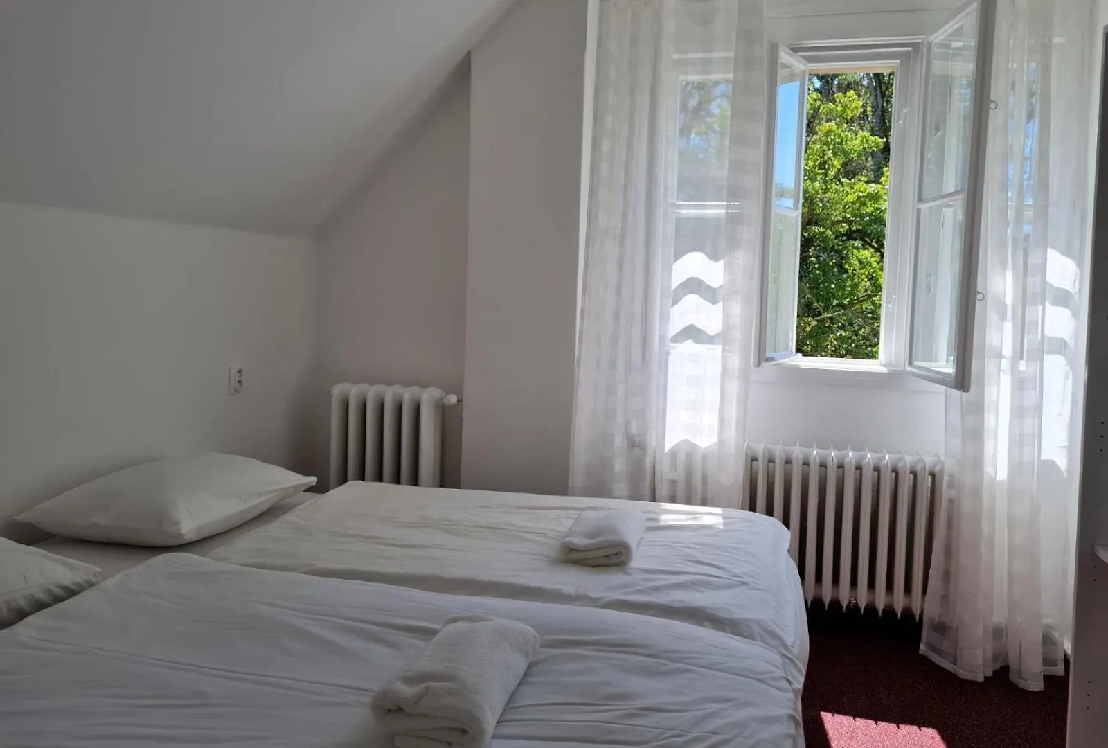 Hostel Historic Villa 